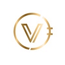 Loan Vault Inc logo