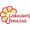 Lobaugh's Dahlias