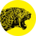 Favicon of Locarno Film Festival