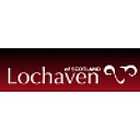 Lochaven International Ltd logo