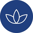 Favicon of Locks Lash