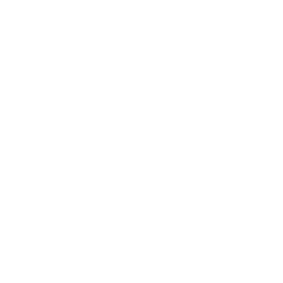 LOCUZ Inc. logo