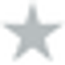 The Lodestar Foundation logo