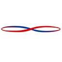 Logicvein, Inc. logo