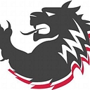 LOK Grips logo