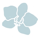 lolliablooms.com icon