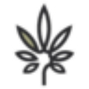 Lolly logo