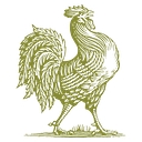 London Roast Co. logo