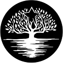 Lone Star Justice Alliance logo
