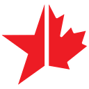 Lonestar Lumber logo
