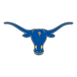 Lone Star Undivided High School logo
