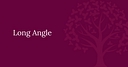 Long Angle logo