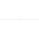 The Long Lewis Foundation logo