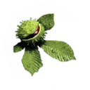 Longthorpe Primary Academy logo