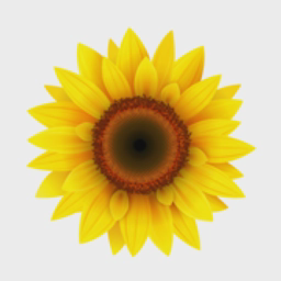 Longview Care Home Cornwall Ltd logo