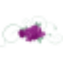 The Bougainvillea Clinique logo