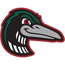 Great Lakes Loons