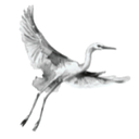 Los Cerritos Wetlands Fund logo