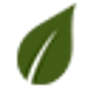 Lost Pines Toyota logo