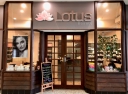 Lotus Beauty logo