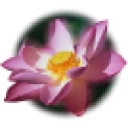 Lotus Group Counseling logo
