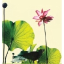 Sundari Foundation Inc logo
