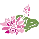 Lotus of Siam Red Rock﻿