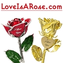 Love Is A Rose logo