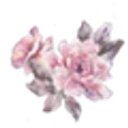 LoveShackFancy logo