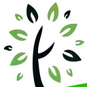 City of Lowry Crossing logo