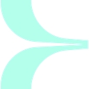 Loyalty Boomerang logo
