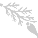 Loyly Sauna logo