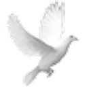Loyola College Prep logo