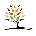 Legal Practice Council