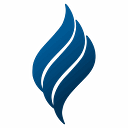 Lss Foundation Inc logo