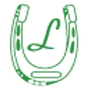 Lucky Construction Inc logo