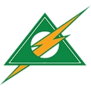 Luminous Electric Bradenton logo