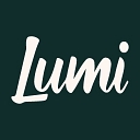 Lumi Agency logo