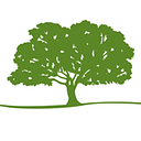 THE LUMPKIN FAMILY FOUNDATION logo