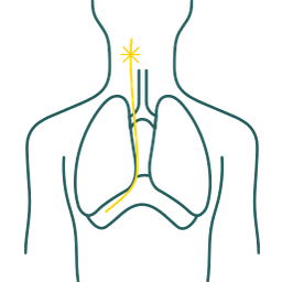 Lunair Medical, Inc. logo