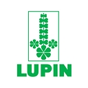 Lupin