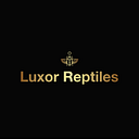 luxor reptiles