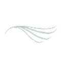 WOMAN TO WOMAN GYNECOLOGY LLC