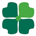 Lydon Solutions logo