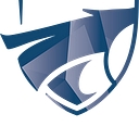 Lykos Medical logo
