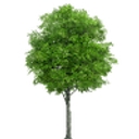 Virginia Landscape Group
