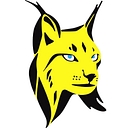 Lynx Information Systems logo