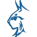 Lynx Systems Inc. logo