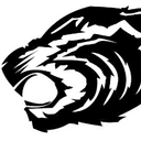 Lyons-Decatur Northeast Schools logo