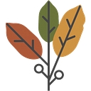 Maatrubhumi logo